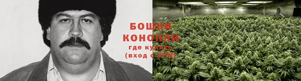 PSILOCYBIN Абинск