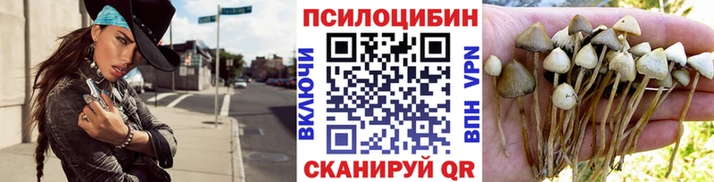 где можно купить   Нариманов  omg рабочий сайт  Галлюциногенные грибы прущие грибы 